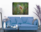 Photo of Thistle Hanging on Living Room Wall - printed on waterproof canvs