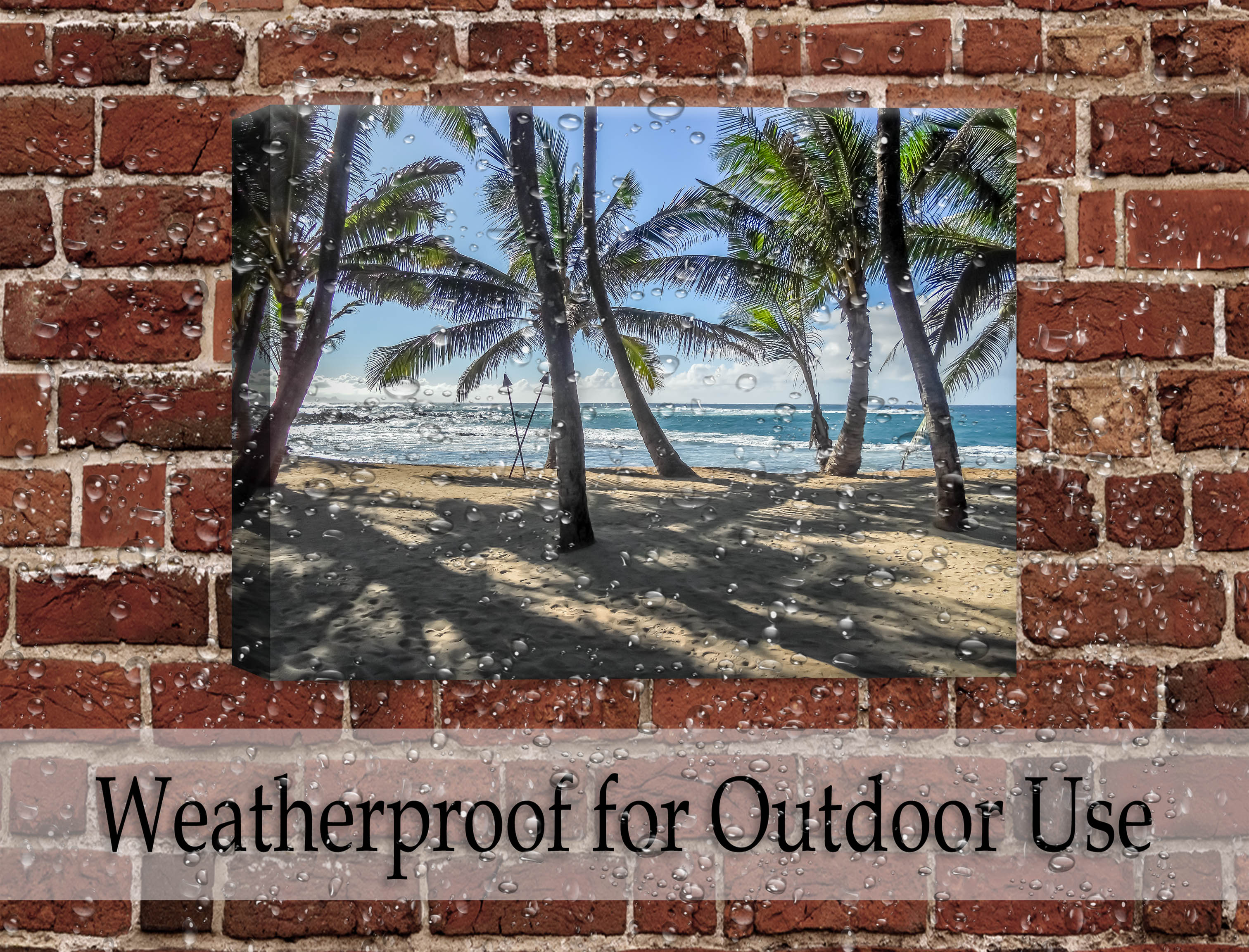 Palm Tree Art in White Frame hanging on patio wall in the rain. 