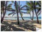 Palm Tree Art - Grace Bay - Sand, Palms & Ocean -Photographic Print