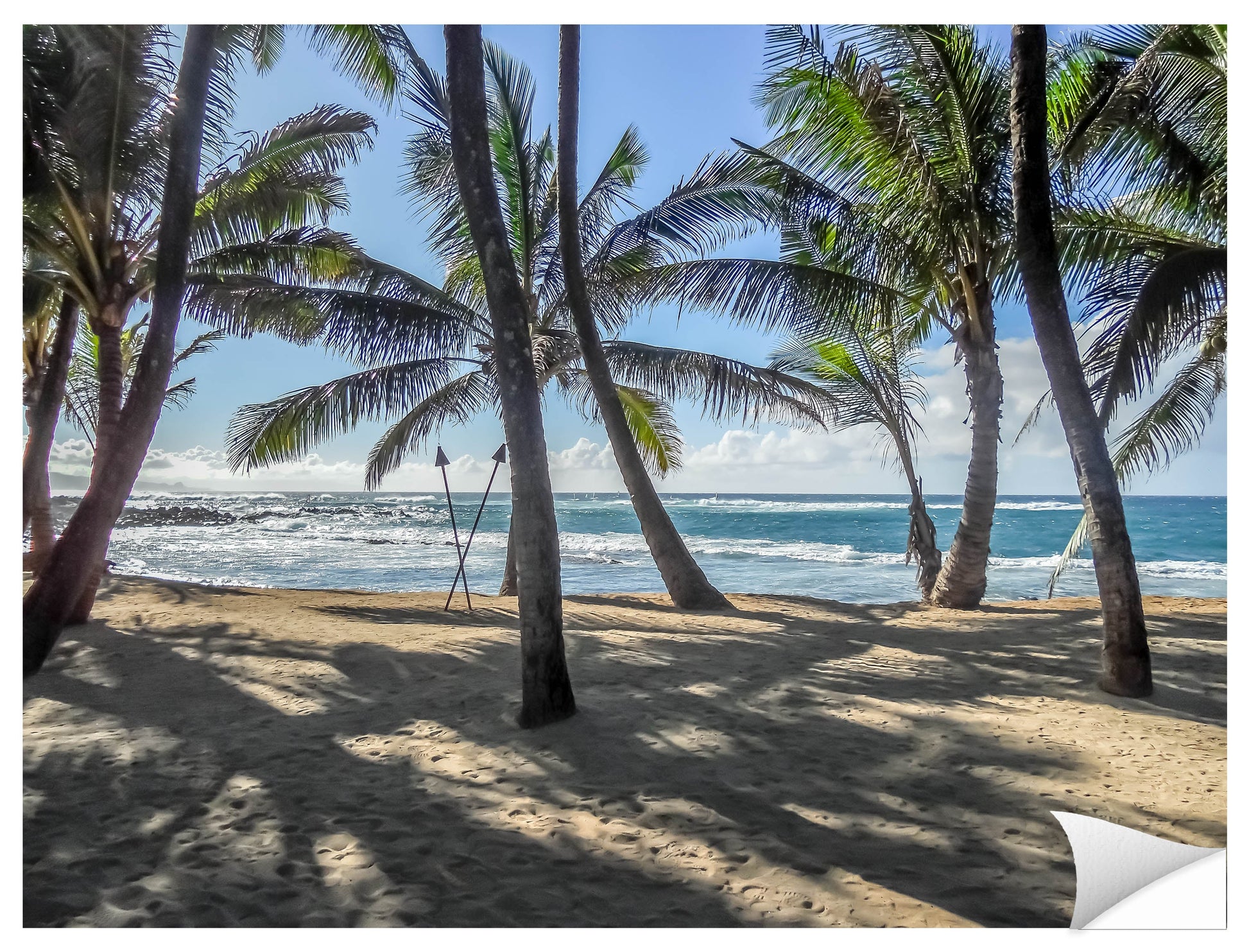 Grace Bay - Sand, Palms & Ocean -Photographic Print