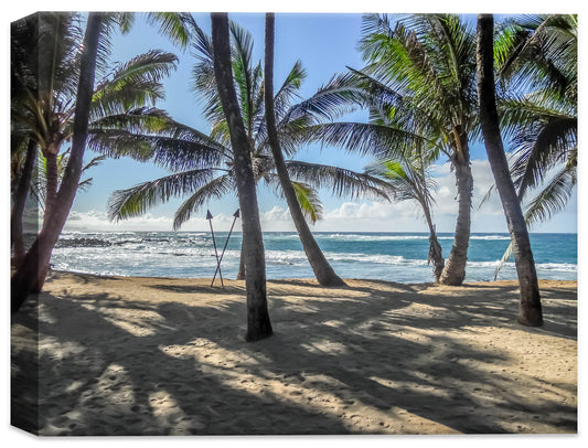 Palm Tree Wall Art via a canvas-wrapped photograph at Grace Bay in the Carribean.