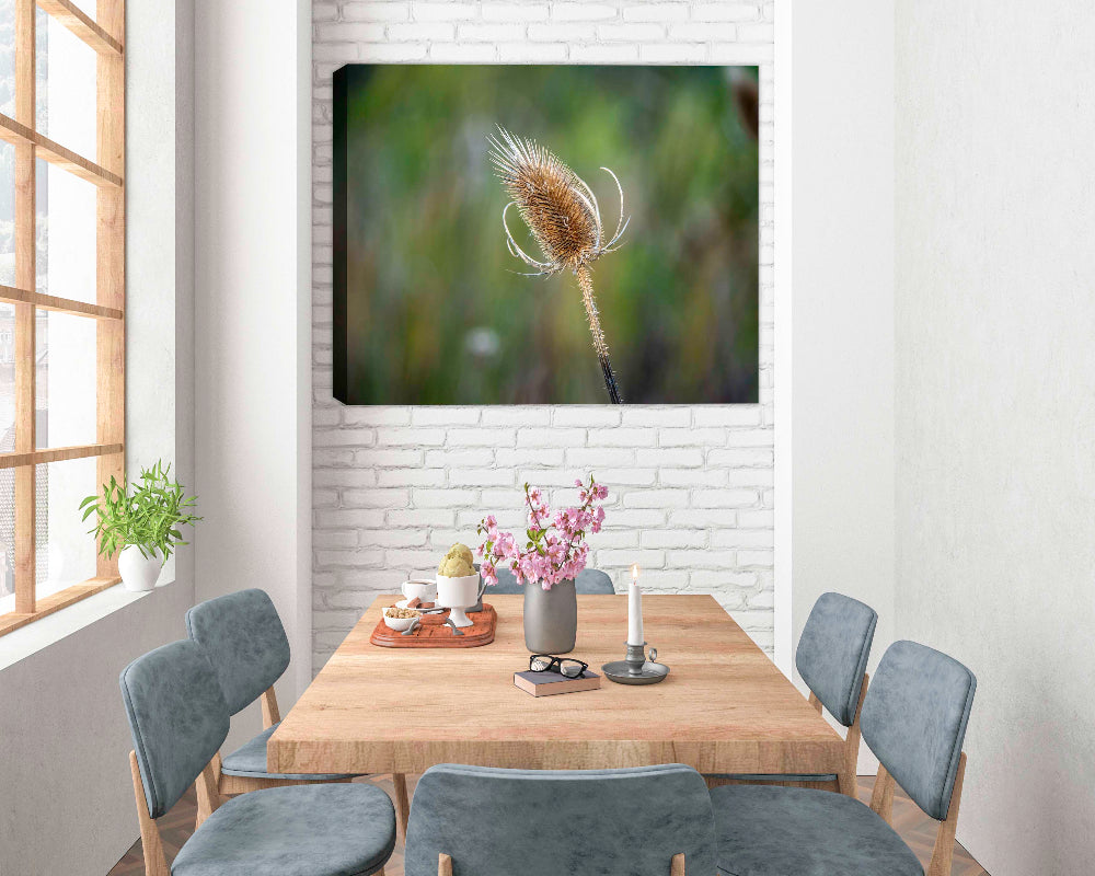Photo of Thistle printed on canvas, hanging on Dining Room Wall