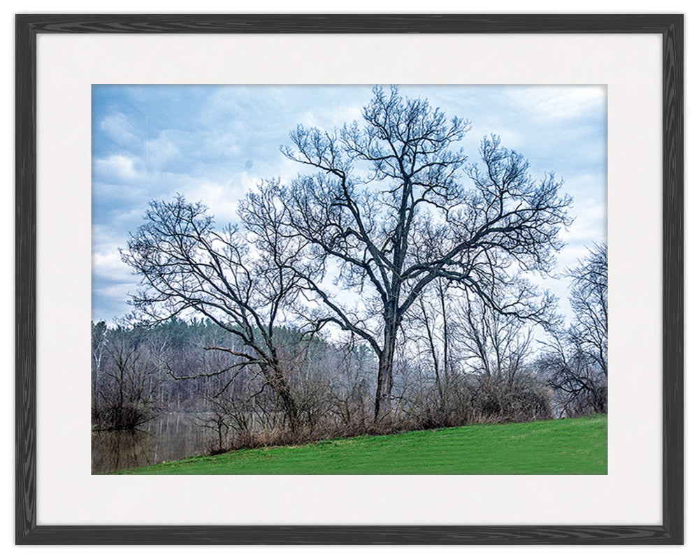 Image of Trees on the River in Black Frame