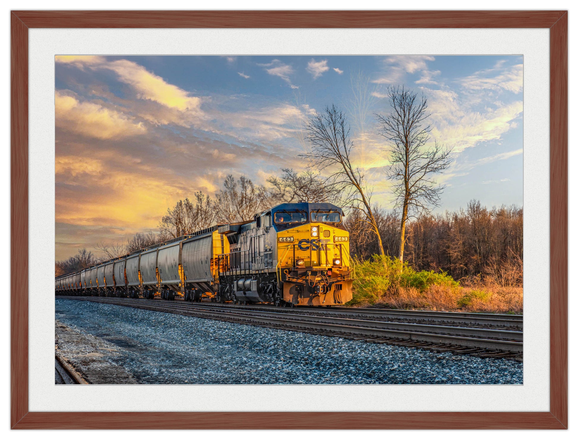 Train at Sunset - Framed Photo - Mahogany Frame