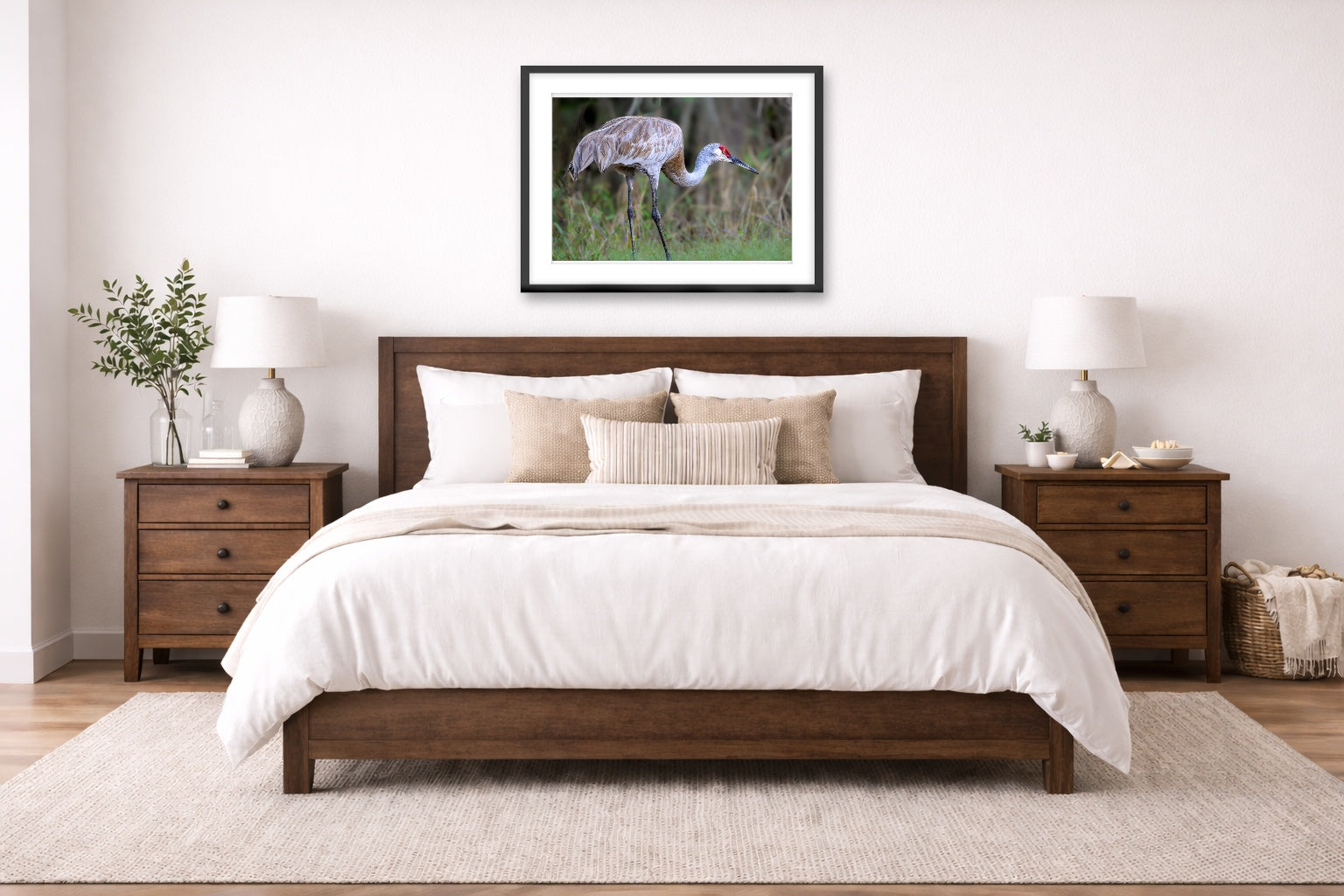 Majestic sandhill crane standing in Grass printed on fine art paper, framed on a black frame and matted and hung on a wall on an bedroom wall.