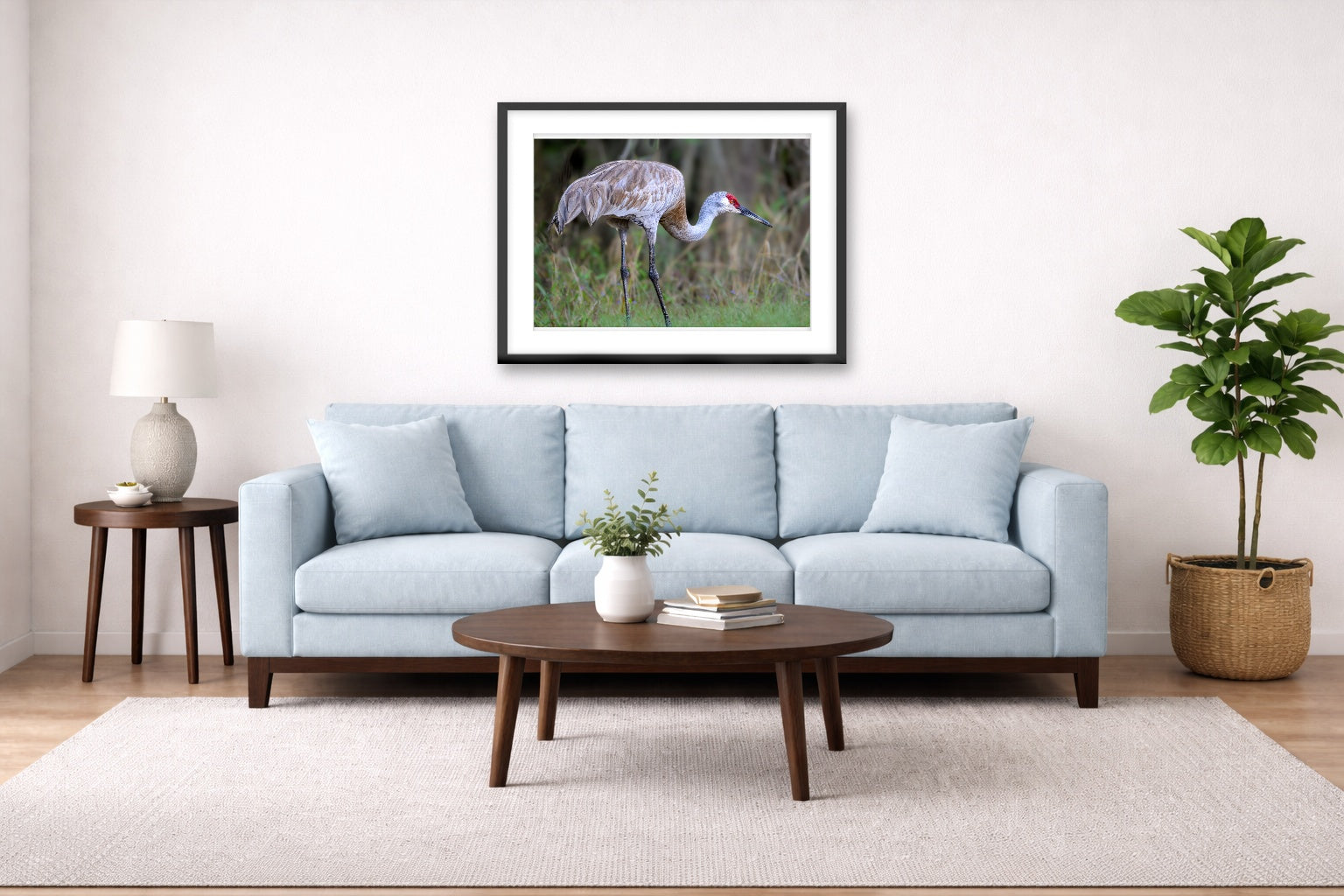 Majestic sandhill crane standing in Grass printed on fine art paper, framed on a black frame and matted and hung on a Living Room wall above a couch