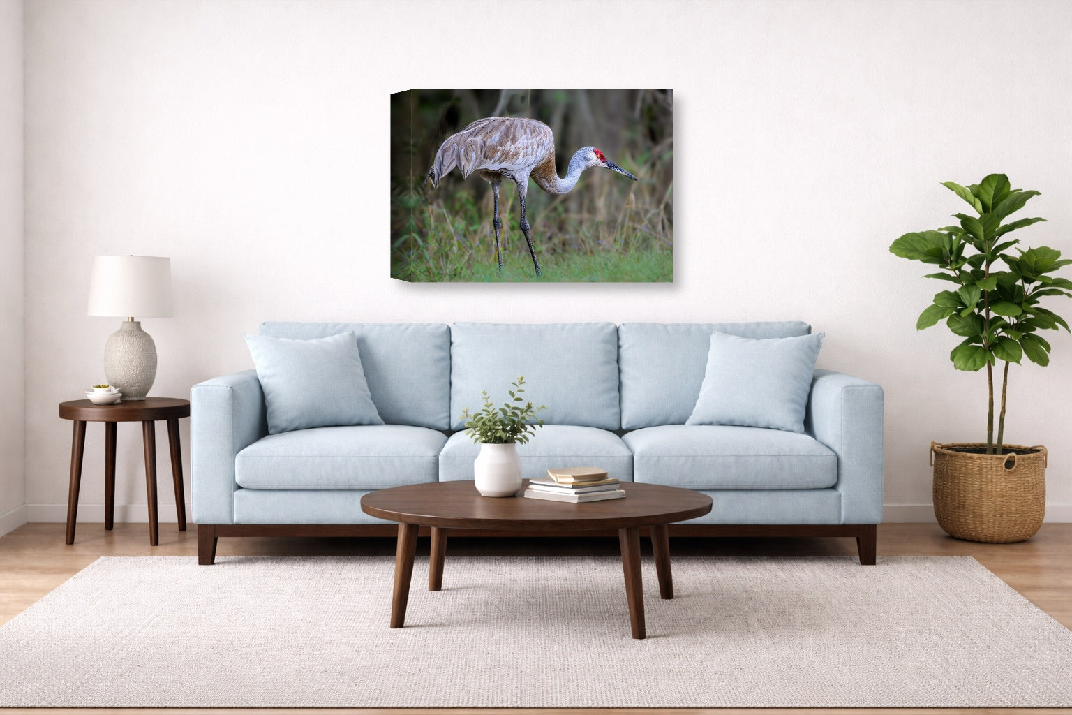 Majestic sandhill crane standing in Grass printed on canvas wall art displayed above a couch in a living room