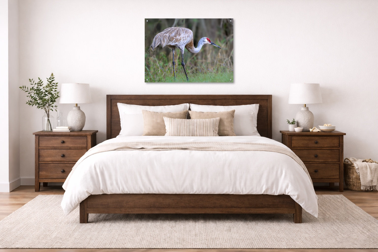 Majestic sandhill crane standing in Grass printed on aluminum metal with wall anchors. Hung on a bedroom wall.