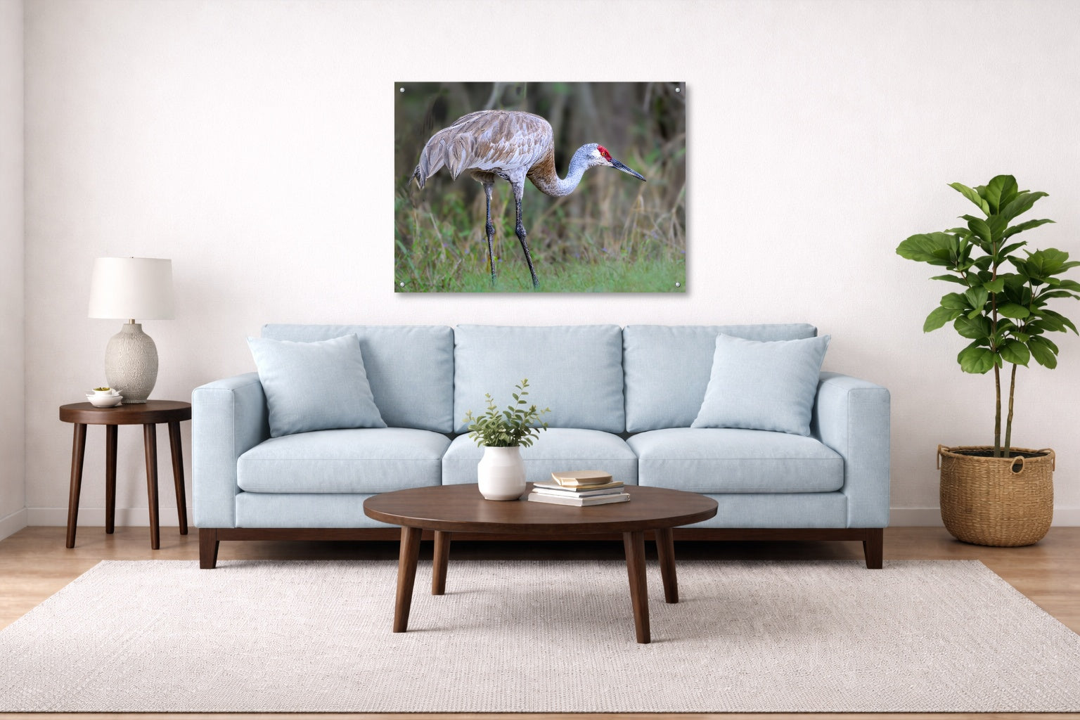 Majestic sandhill crane standing in Grass printed on aluminum metal with wall anchors. Hung on a living room wall.