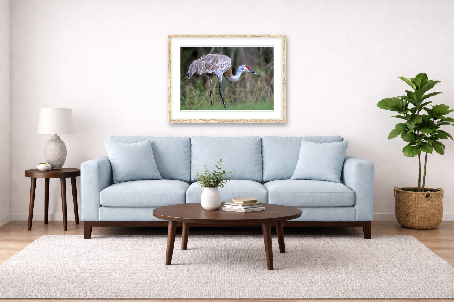 Majestic sandhill crane standing in Grass printed on fine art paper, framed on a oak frame and matted. Hung on a living room wall.