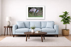 Majestic sandhill crane standing in Grass printed on fine art paper, framed on a white frame and matted. Hung on a living room wall.