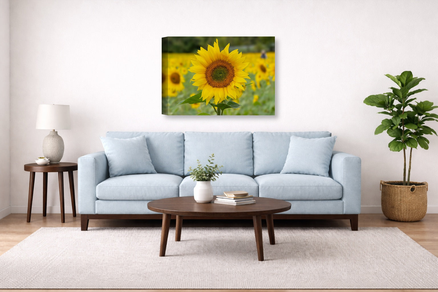 Sunflower in a Field printed on canvas wall art displayed above a couch in a living room