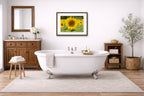 Sunflower in a Field printed on fine art paper, framed on a espresso frame and matted. Hung on a bathroom wall.