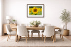 Sunflower in a Field printed on fine art paper, framed on a espresso frame and matted. Hung on a dinning room wall