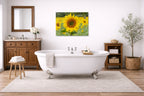 Sunflower in a Field printed on aluminum metal with wall anchors. Hung on a bathroom wall.