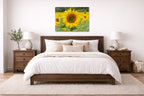 Sunflower in a Field printed on aluminum metal with wall anchors. Hung on a bedroom wall.