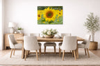 Sunflower in a Field printed on aluminum metal with wall anchors. Hung on a dining room wall.