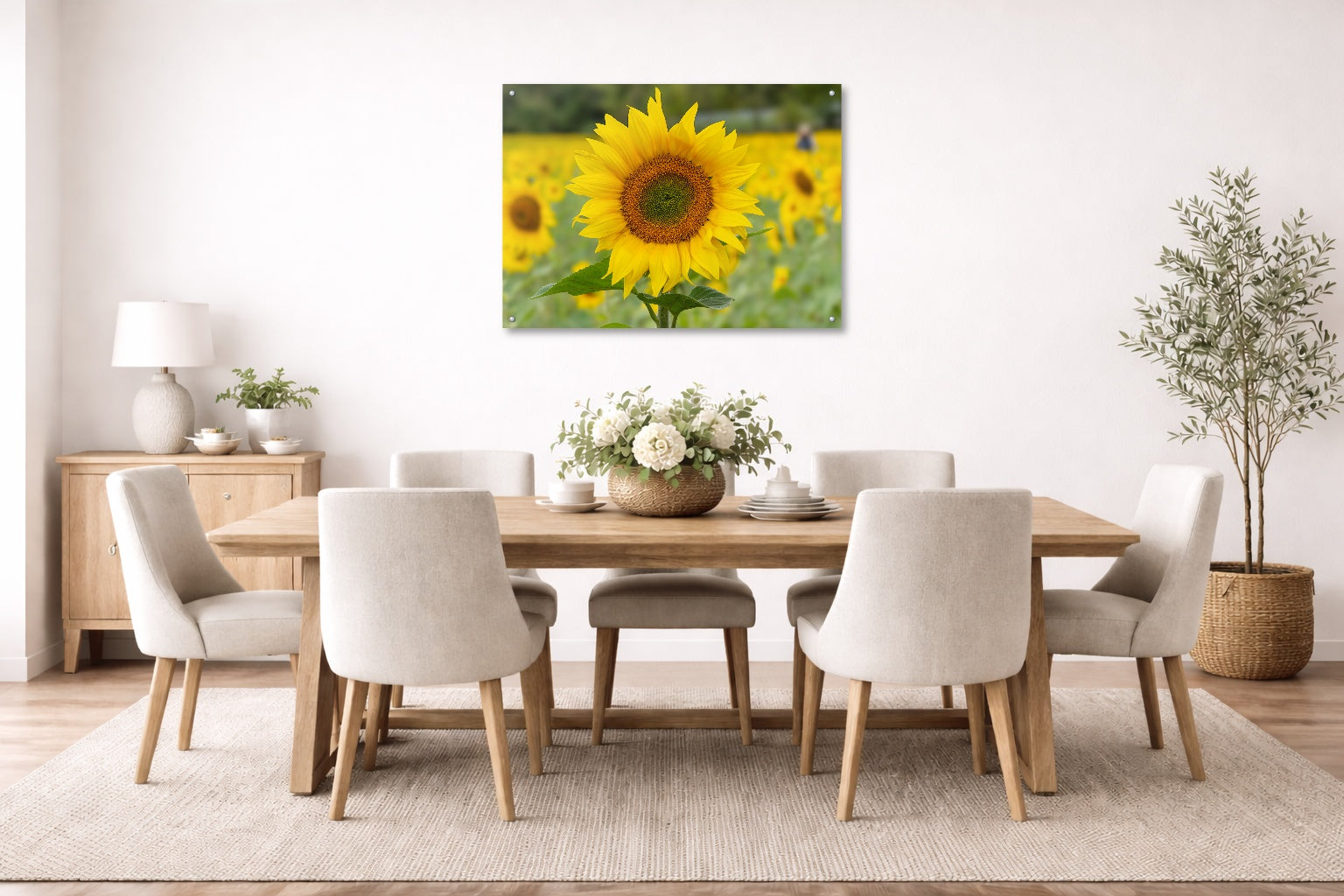 Sunflower in a Field printed on aluminum metal with wall anchors. Hung on a dining room wall.