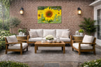 Sunflower in a Field printed on water resistant canvas and mounted on a waterproof frame. Hung on a patio wall.