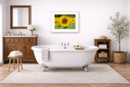 Sunflower in a Field printed on fine art paper, framed on a white frame and matted. Hung on a bathroom wall