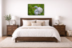 White Egret in Flight printed on canvas wall art displayed on a wall above a bed.