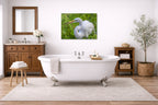 White Egret in Flight printed on aluminum metal with wall anchors. Hung on a bathroom wall.