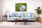 White Egret in Flight printed on aluminum metal with wall anchors. Hung on a living room wall.