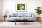 White Egret in Flight printed on fine art paper, framed on a oak frame and matted. Hung on a living room wall.