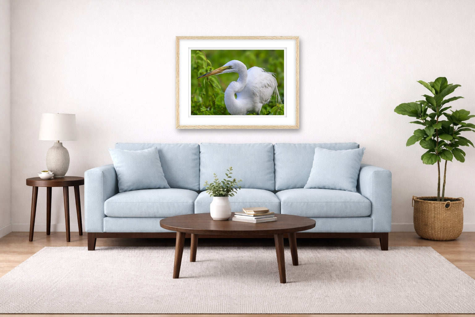 White Egret in Flight printed on fine art paper, framed on a oak frame and matted. Hung on a living room wall.