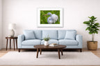 White Egret in Flight printed on fine art paper, framed on a white frame and matted. Hung on a living room wall.
