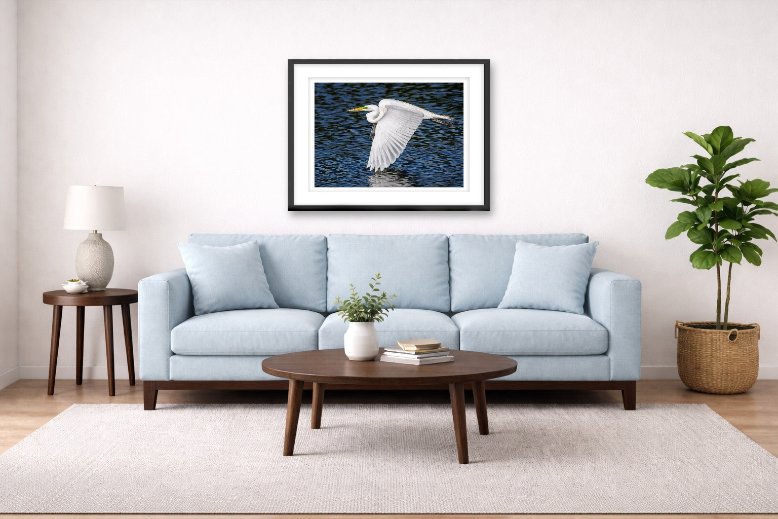 White Egret in Flight printed on fine art paper, framed on a black frame and matted and hung on a Living Room wall above a couch