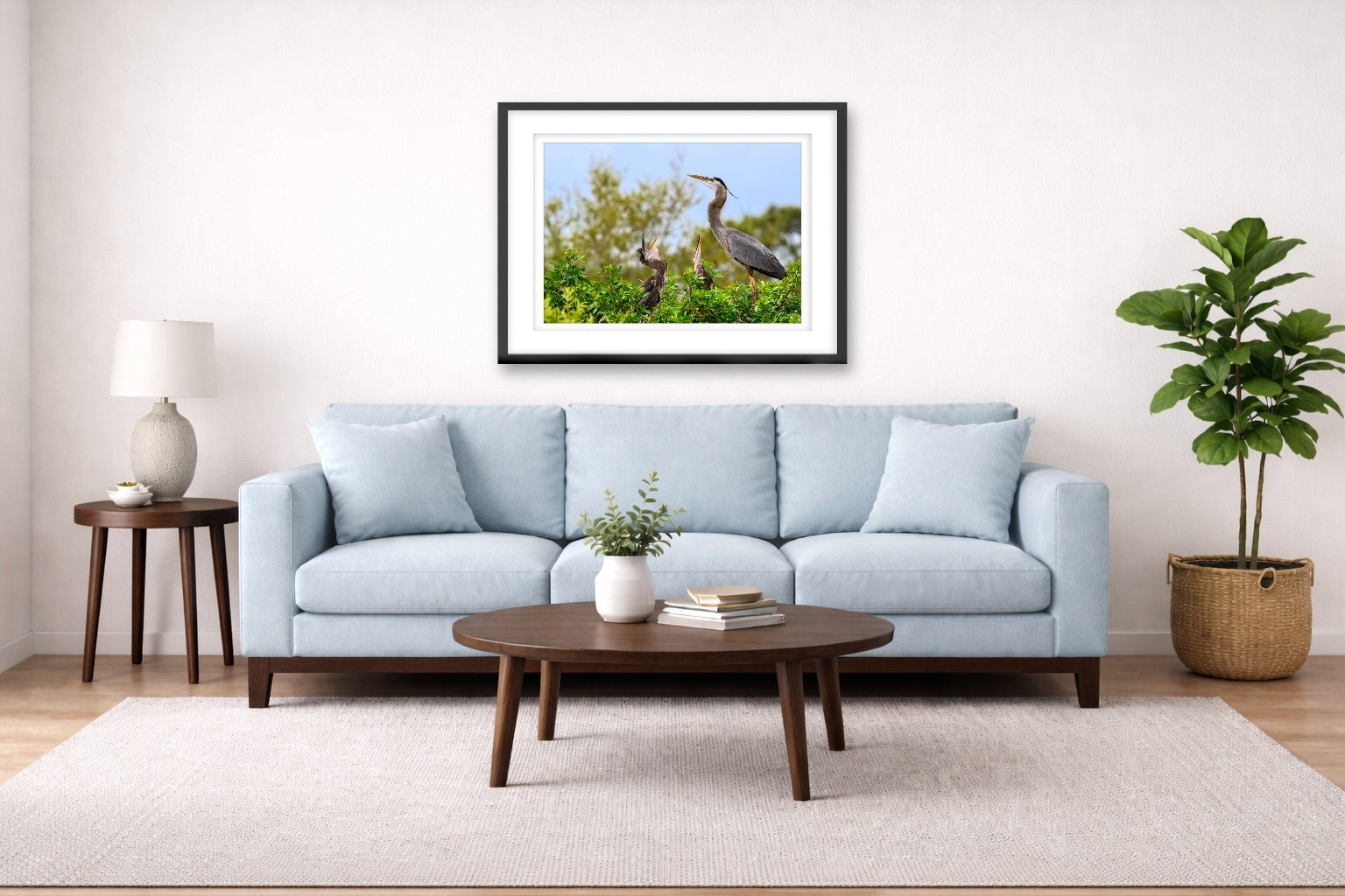 Blue Herons with Chicks printed on fine art paper, framed on a black frame and matted and hung on a Living Room wall above a couch
