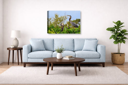 Blue Herons with Chicks printed on canvas wall art displayed above a couch in a living room