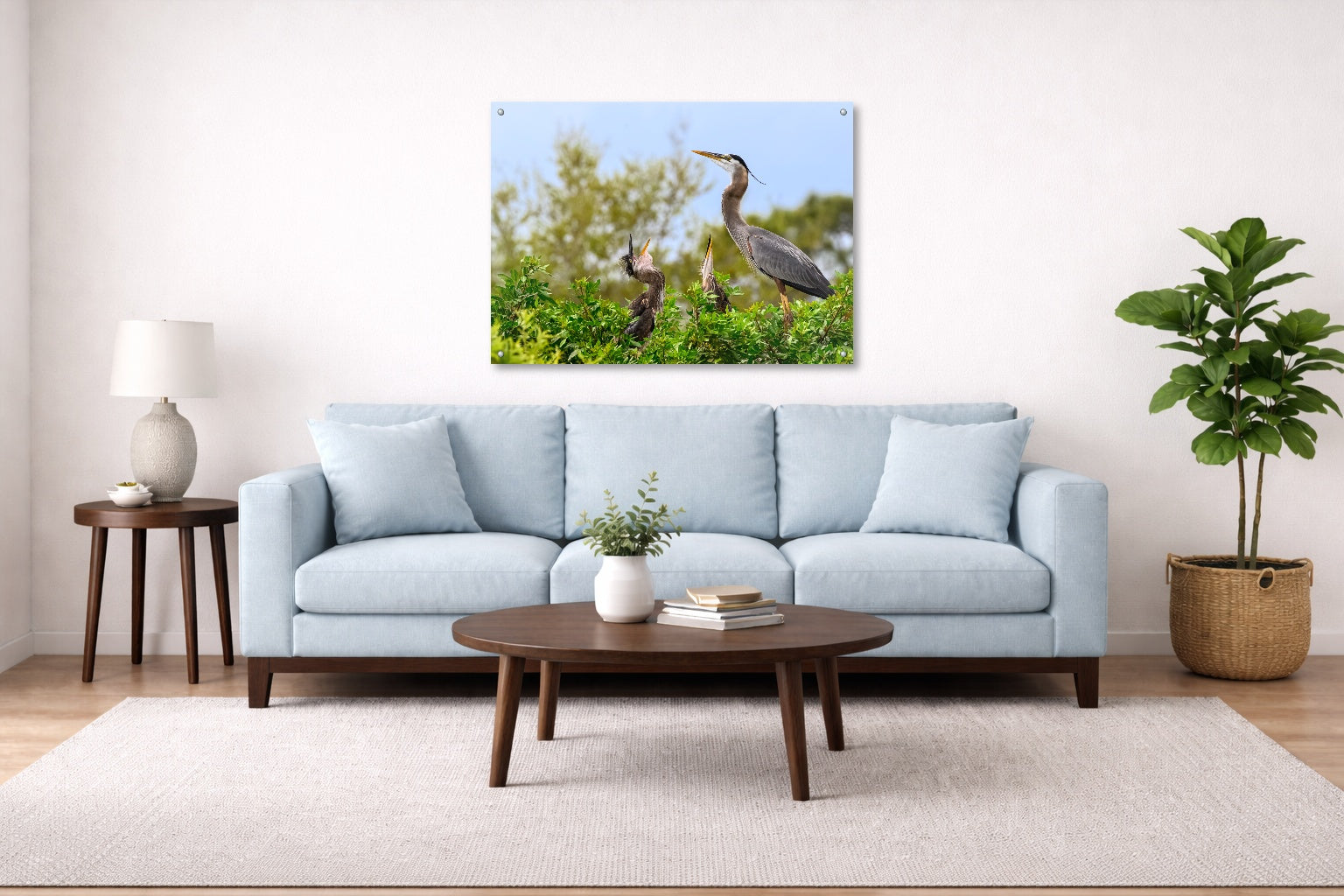 Blue Herons with Chicks printed on aluminum metal with wall anchors. Hung on a living room wall.