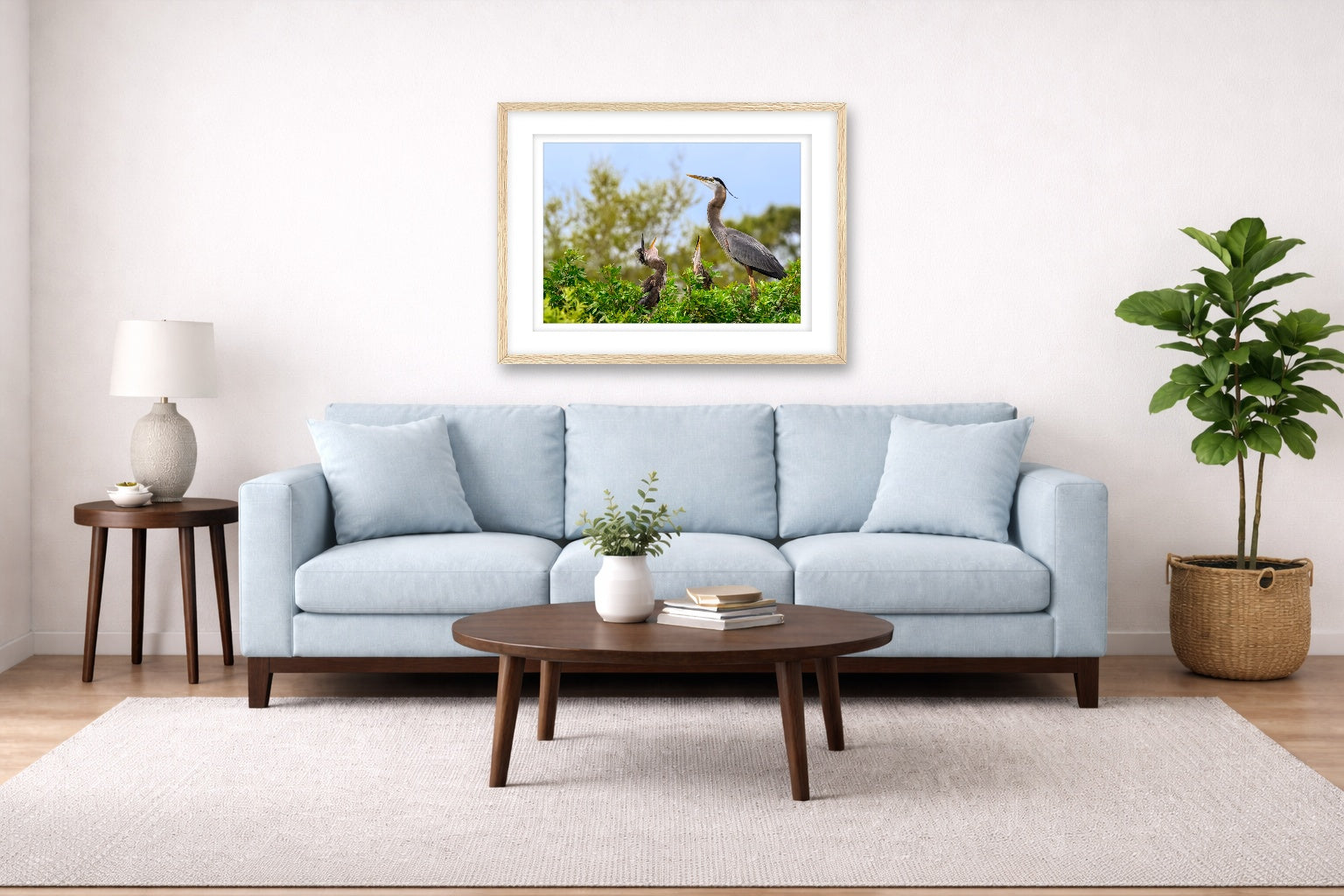 Blue Herons with Chicks printed on fine art paper, framed on a oak frame and matted. Hung on a living room wall.