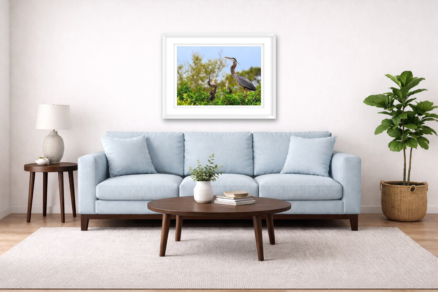 Blue Herons with Chicks printed on fine art paper, framed on a white frame and matted. Hung on a living room wall.
