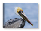 Pelican Posing against a blue sky printed on water resistant canvas wrapped on a wood frame