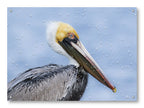 Pelican Posing against a blue sky printed on water resistant canvas and mounted on a waterproof frame.