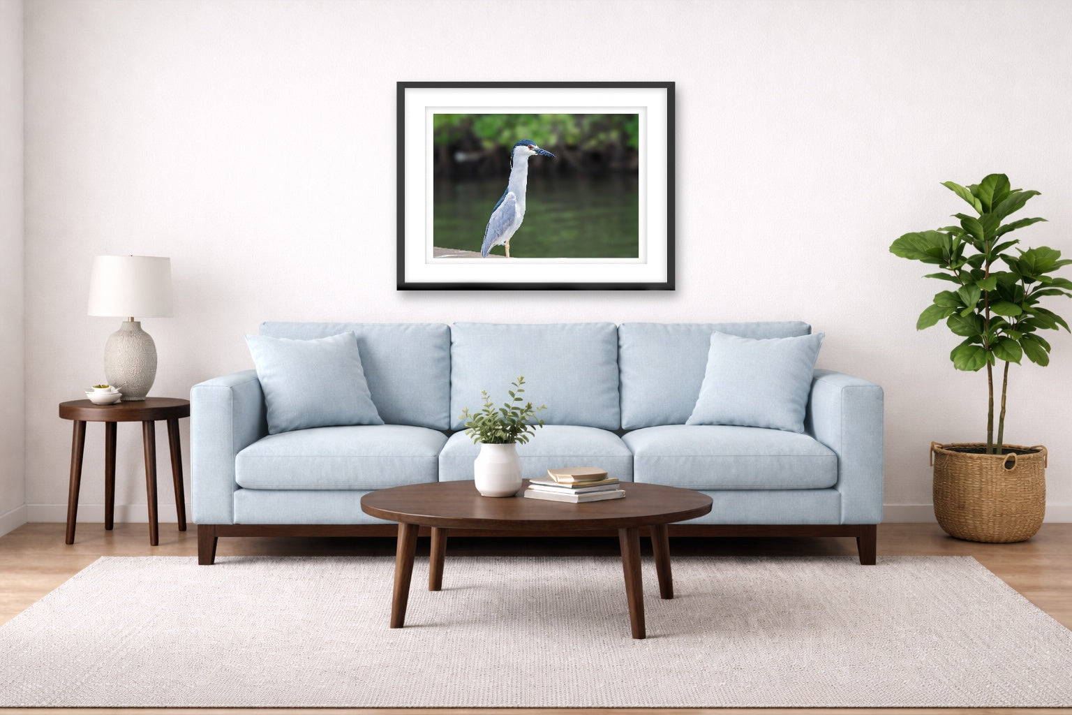 Night Heron Posing printed on fine art paper, framed on a black frame and matted and hung on a Living Room wall above a couch