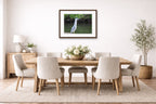Night Heron Posing printed on fine art paper, framed on a espresso frame and matted. Hung on a dinning room wall
