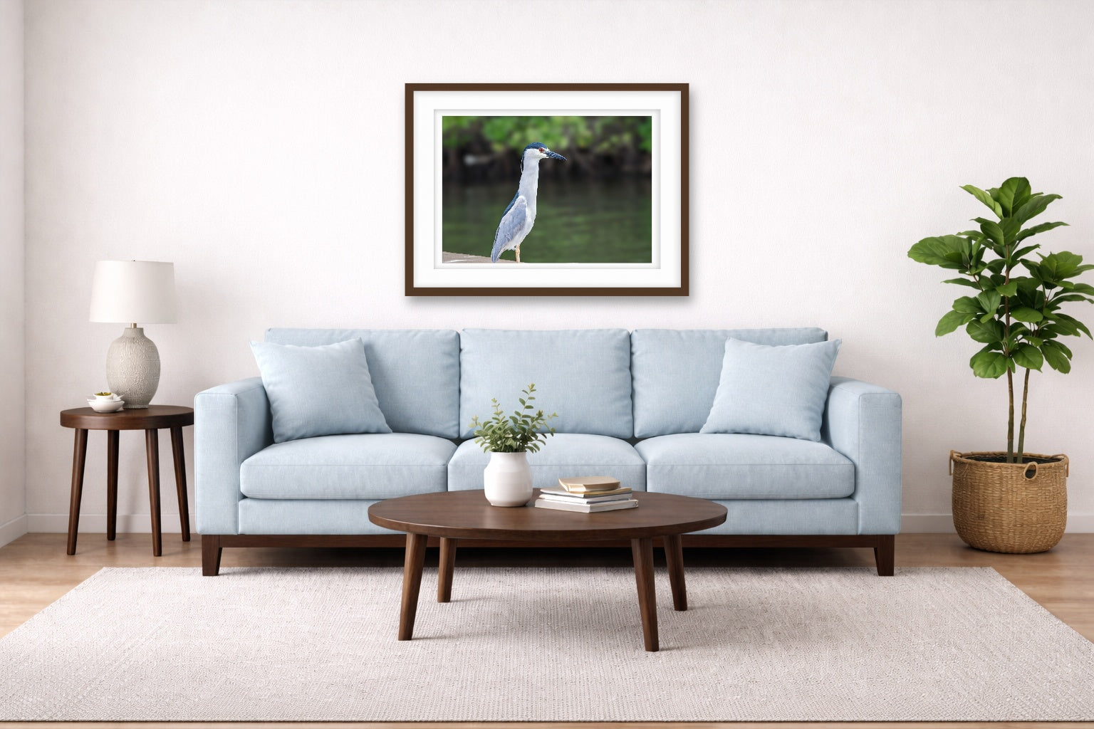 Night Heron Posing printed on fine art paper, framed on a espresso frame and matted. Hung on a living room wall