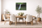 Night Heron Posing printed on aluminum metal with wall anchors. Hung on a dining room wall.