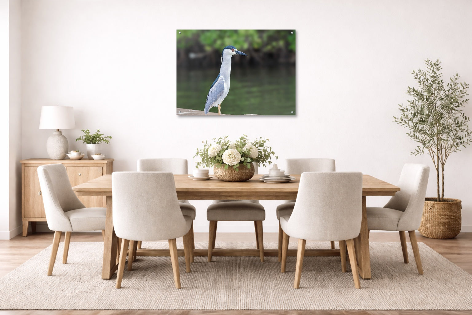 Night Heron Posing printed on aluminum metal with wall anchors. Hung on a dining room wall.