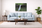 Night Heron Posing printed on aluminum metal with wall anchors. Hung on a living room wall.