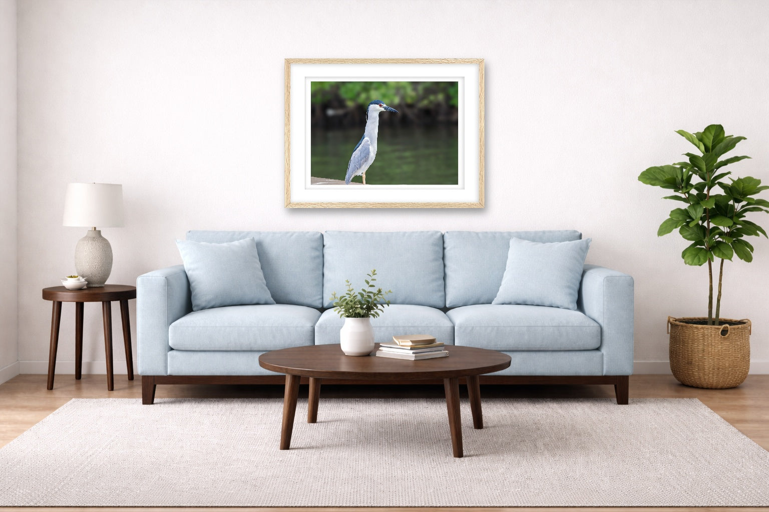 Night Heron Posing printed on fine art paper, framed on a oak frame and matted. Hung on a living room wall.