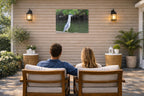 Night Heron Posing printed on water resistant canvas and mounted on a waterproof frame. Hung on a patio wall with couple.