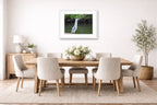 Night Heron Posing printed on fine art paper, framed on a white frame and matted. Hung on a dining room wall.