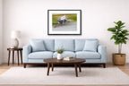 Blue Heron in Flight printed on fine art paper, framed on a black frame and matted and hung on a Living Room wall above a couch