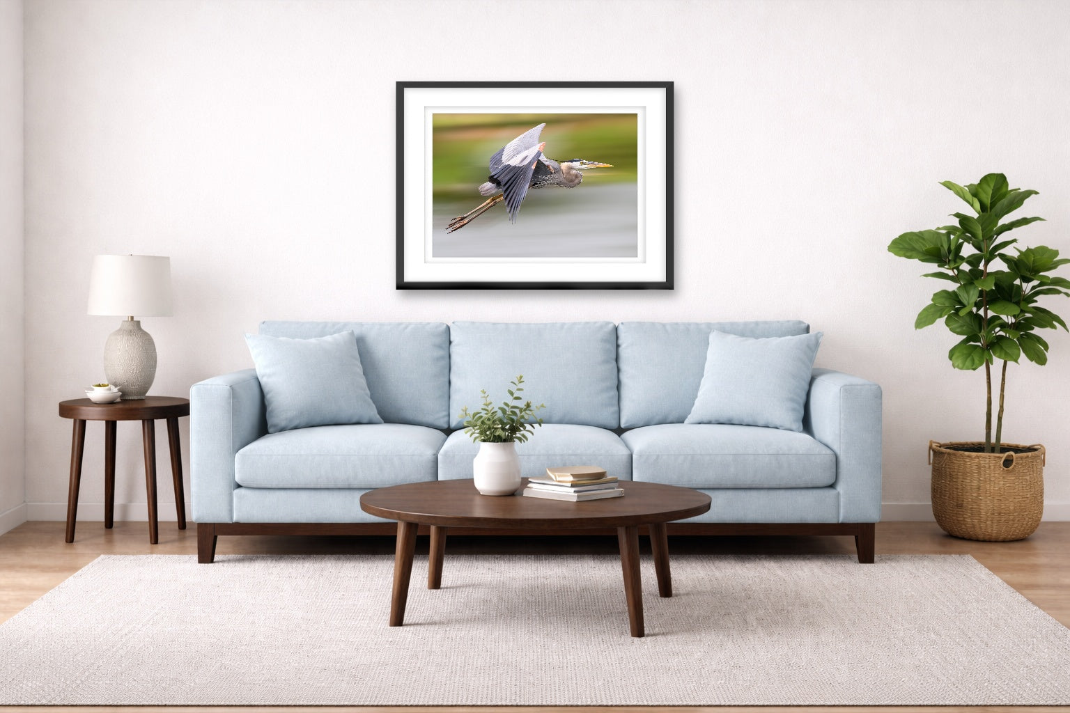 Blue Heron in Flight printed on fine art paper, framed on a black frame and matted and hung on a Living Room wall above a couch