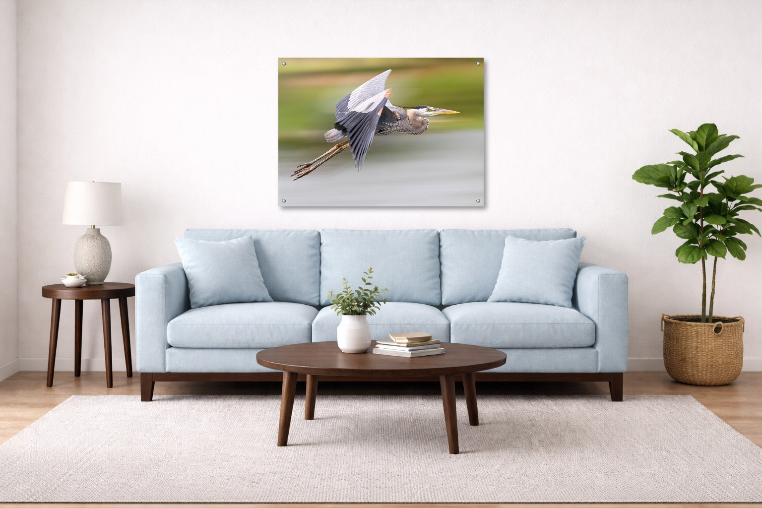 Blue Heron in Flight printed on aluminum metal with wall anchors. Hung on a living room wall.